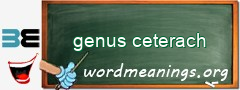 WordMeaning blackboard for genus ceterach